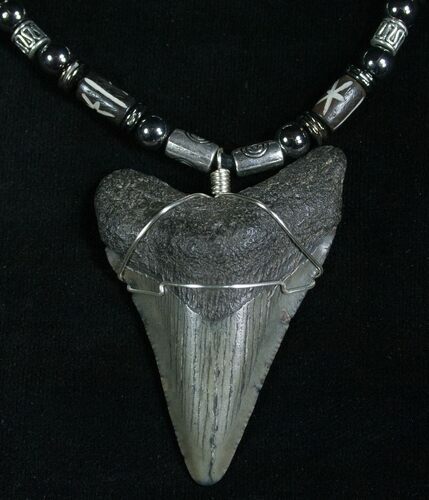 Megalodon Tooth Necklace #5327